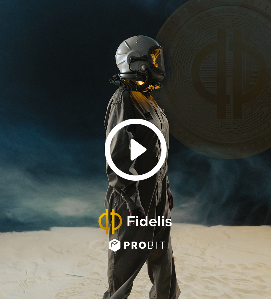 Teaser Fidelis Crypto